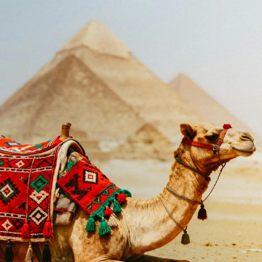 Cairo, Egypt
