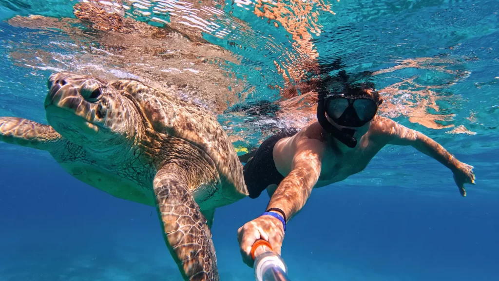 Sea & Snorkelling tours in Egypt