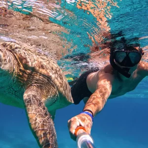 Abu Dabab snorkeling trip from Hurghada: Swim with turtles & dugongs