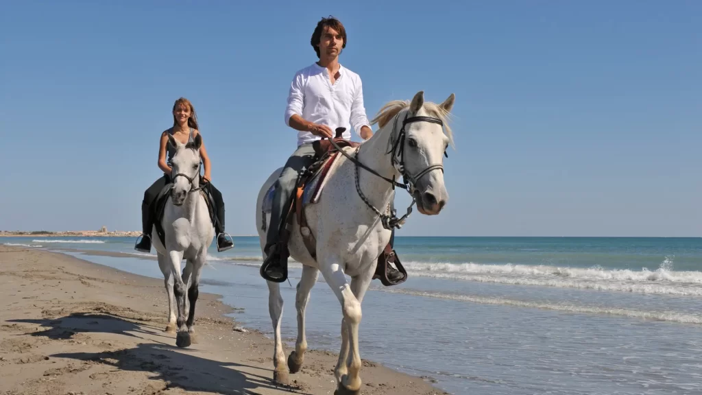 Horse riding experience Hurghada