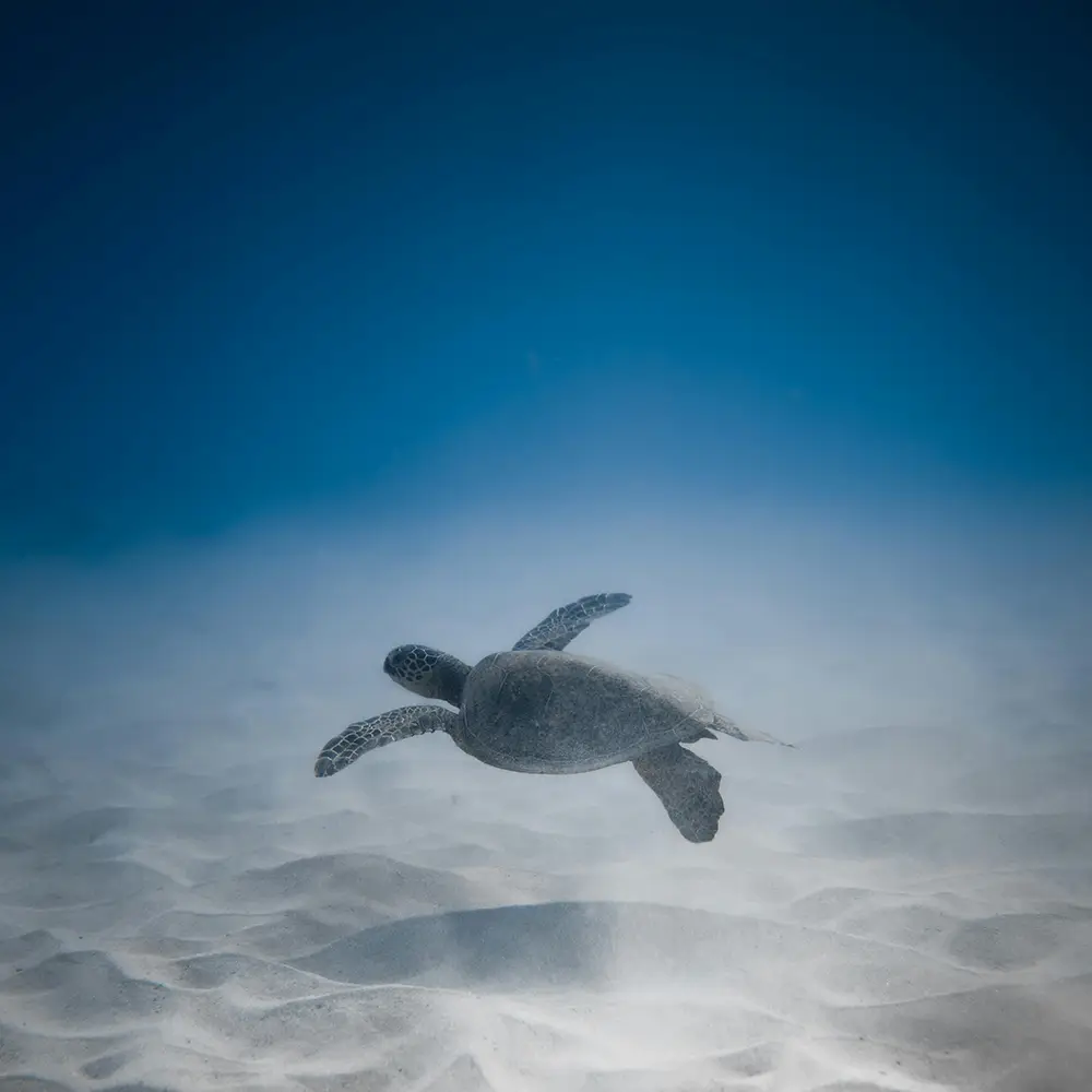 Marsa Alam, Egypt